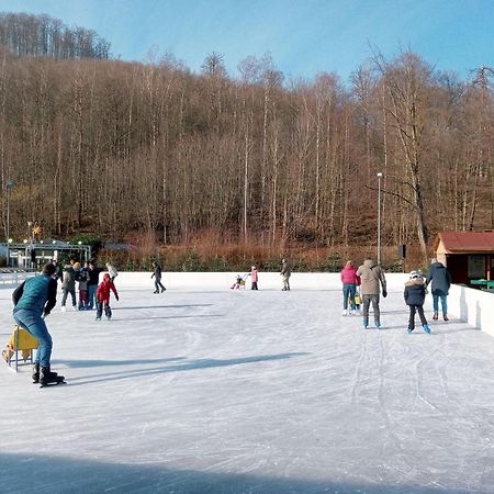 Fewo-Radau Bad Harzburg Exteriér fotografie