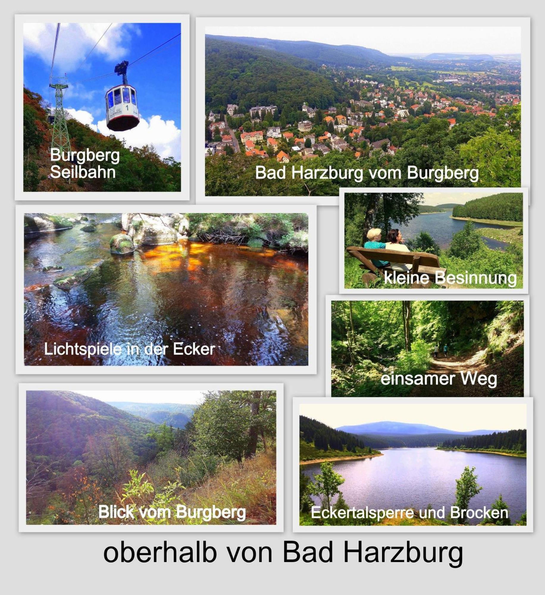 Fewo-Radau Bad Harzburg Exteriér fotografie